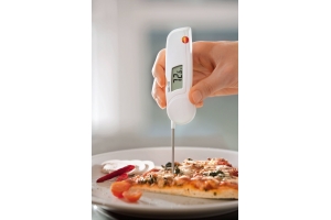 Testo 103 uitklapbare steekthermometer